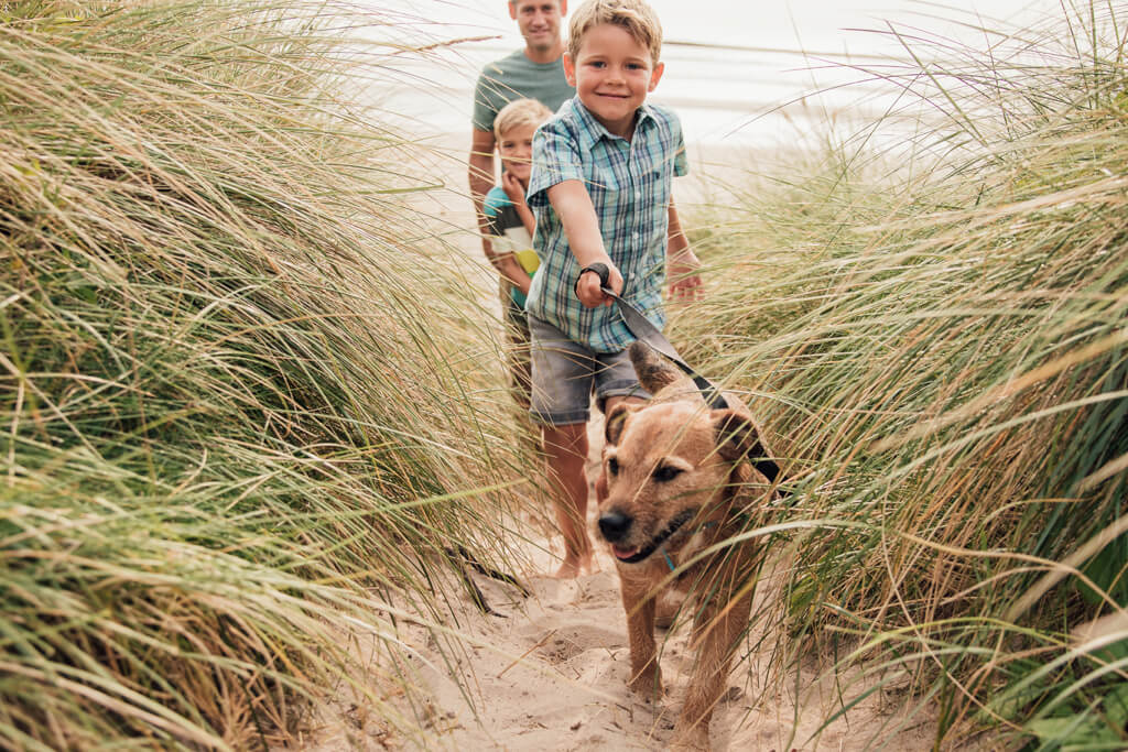 Strandspazierung - Koserow Urlaub mit Hund